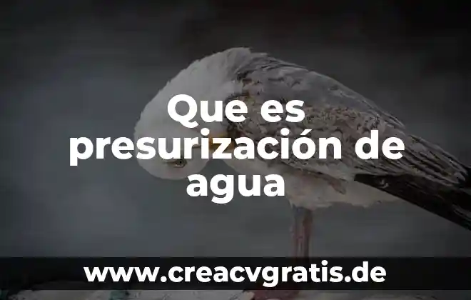 Qué es el factor de volumen de agua de formación 4 Que es presurización de agua