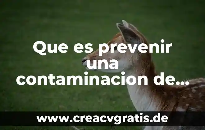 Que es el agua voss 5 Que es prevenir una contaminacion de agua