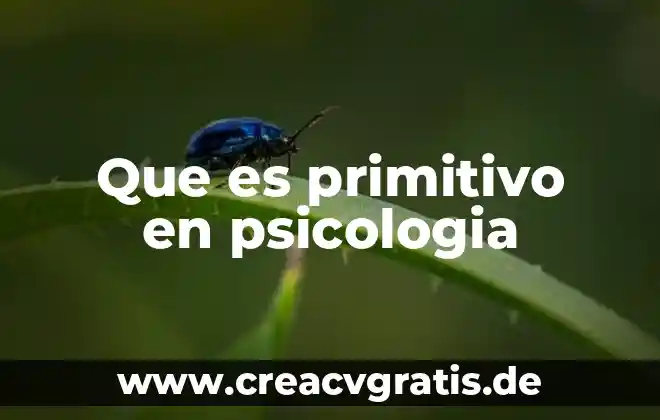 Que es el valor primitivo en java 4 Que es primitivo en psicologia