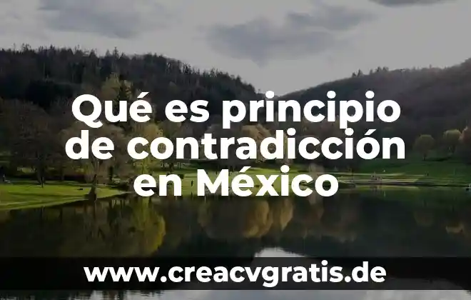 Que es un principio teorico o cientifico 7 Qué es principio de contradicción en México
