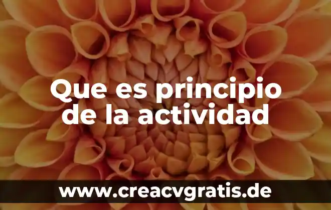 Que es el nombre de una actividad 3 Que es principio de la actividad
