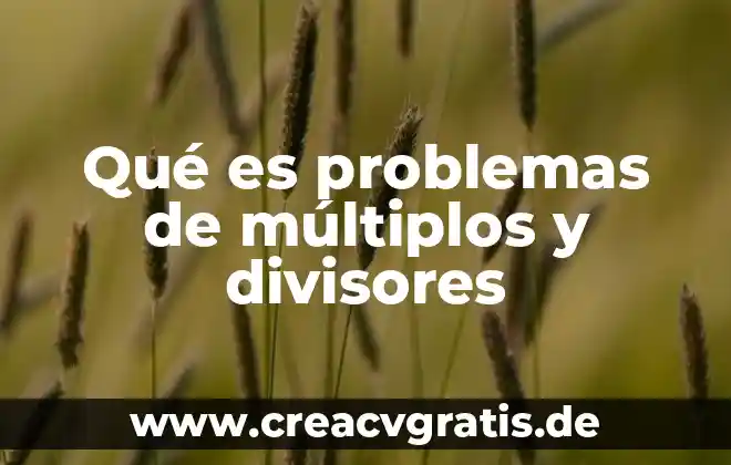 Qué es problemas de cero racionales 4 Qué es problemas de múltiplos y divisores