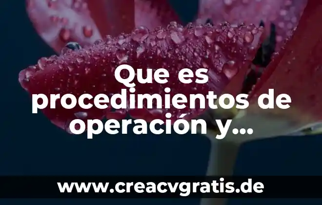 Que es el proceso tecnico de operacion de la constracción 8 Que es procedimientos de operación y administración del sistema