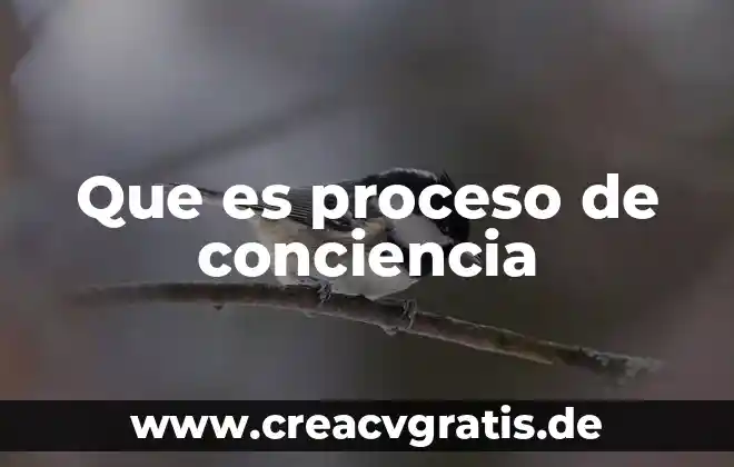 Que es el proceso dmaic 6 Que es proceso de conciencia