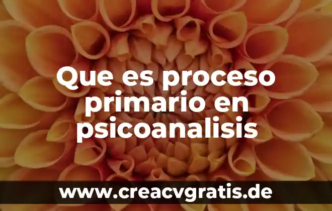 Que es ser narcisista en psicoanalisis 6 Que es proceso primario en psicoanalisis