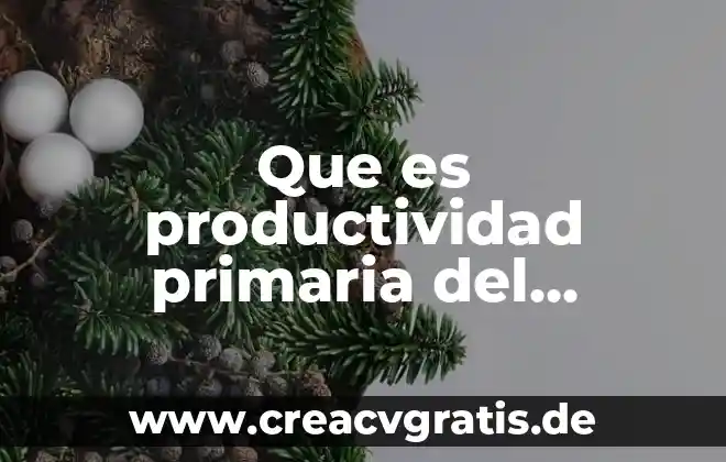 Que es un ecosistema y menciona los tipos 6 Que es productividad primaria del ecosistema