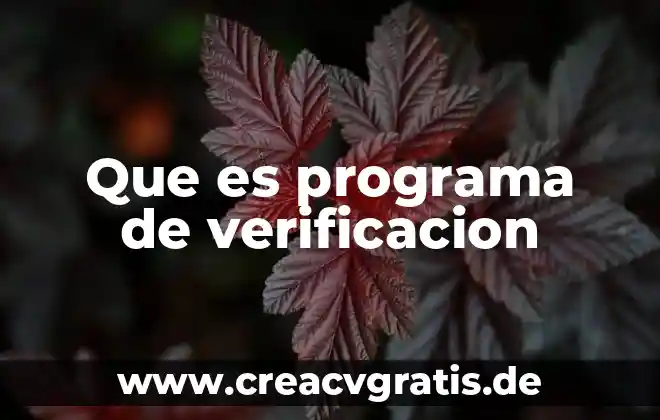 Qué es un símbolo en el programa Flash 7 Que es programa de verificacion