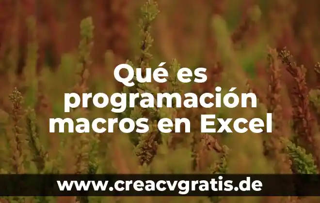 Que es una relevancia del proyecto 7 Qué es programación macros en Excel