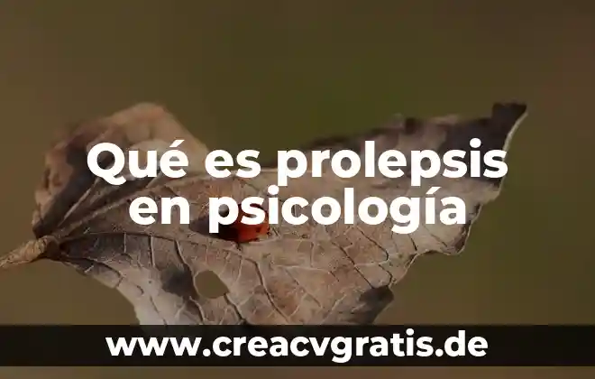 Que es mapas multidimensional 6 Qué es prolepsis en psicología