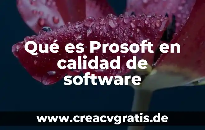 Qué es señal analógica y señal digital 7 Qué es Prosoft en calidad de software