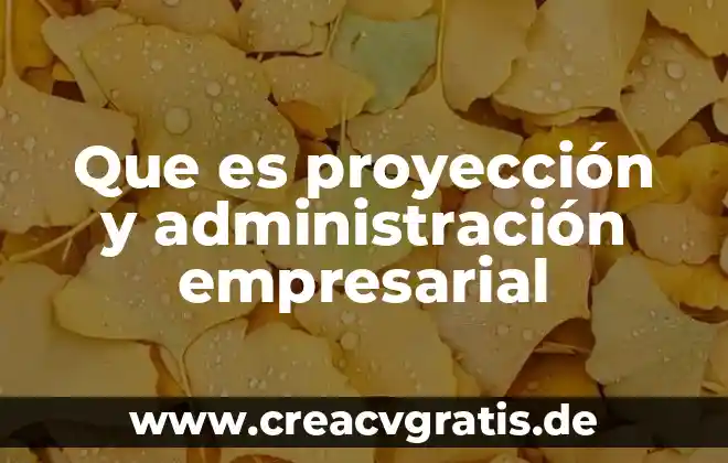 Que es lenguaje empresarial ejemplos 5 Que es proyección y administración empresarial