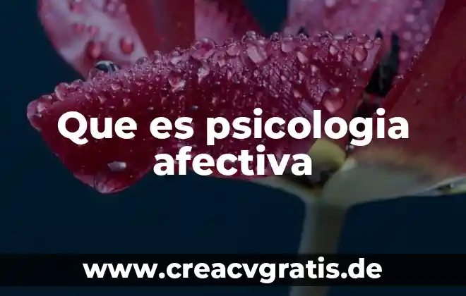 Que es polvo de agua 7 Que es psicologia afectiva