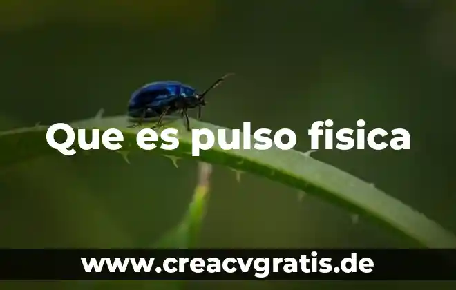 Qué es el pulso concepto para niños 8 Que es pulso fisica