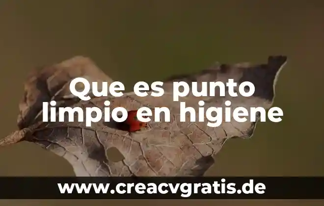 Resumen que es ser limpio 7 Que es punto limpio en higiene