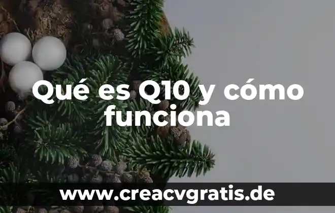 Que es un proceso de fabrica 7 Qué es Q10 y cómo funciona