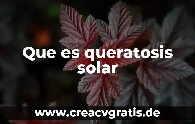Por que es benefica el agua solar 4 Que es queratosis solar