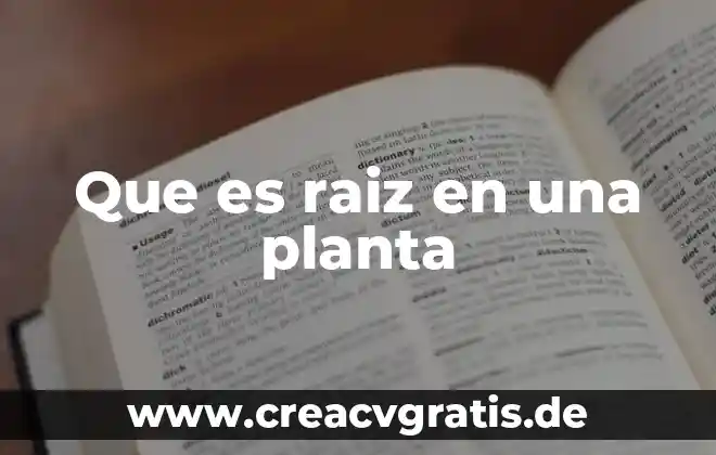 Qué es la mimosa planta 5 Que es raiz en una planta