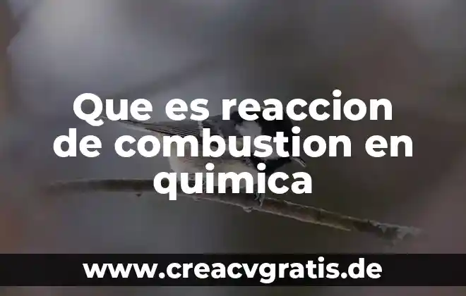 Que es un modelo de reaccion quimica 7 Que es reaccion de combustion en quimica