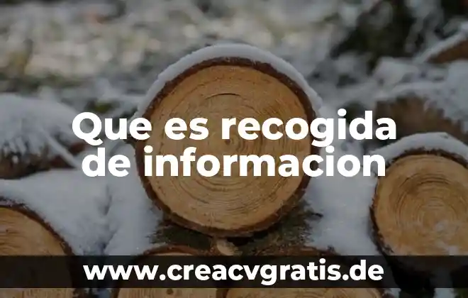Qué es teoría del procesamiento de la información 5 Que es recogida de informacion