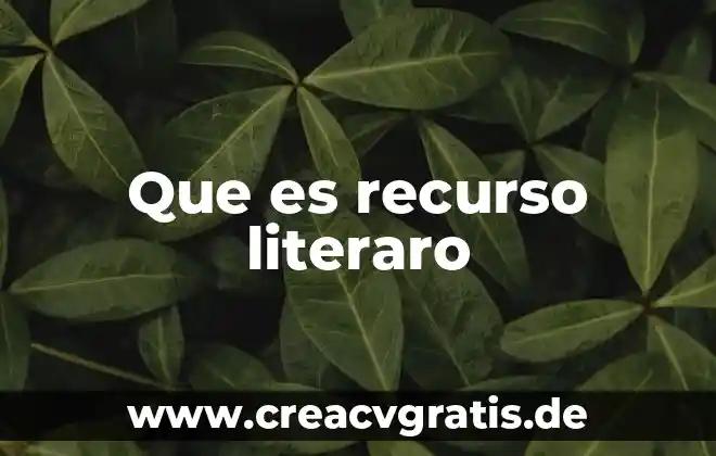 Qué es el recurso bibliográfico hemerográfico y audiovisual 7 Que es recurso literaro