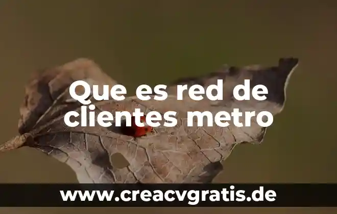 Línea del metro que es una bandera 8 Que es red de clientes metro