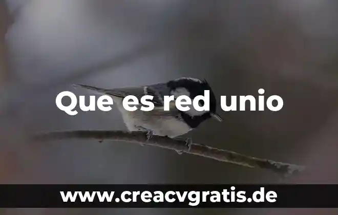 Que es el agua sulfurosa 7 Que es red unio