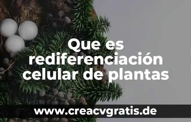 Por que es importante el sol en las plantas 4 Que es rediferenciación celular de plantas