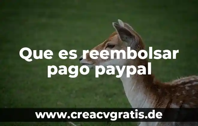 Que es el dinero en mercado pago 5 Que es reembolsar pago paypal