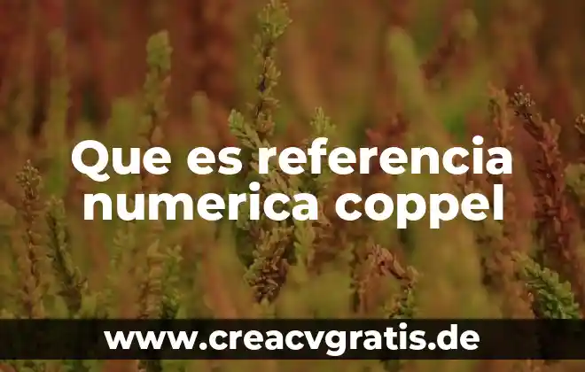 Qué es un patrón algebraico dentro de una sucesión numérica 8 Que es referencia numerica coppel