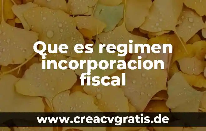 Agencia fiscal que es 5 Que es regimen incorporacion fiscal