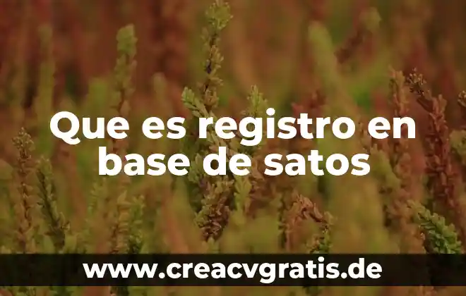 Qué es número de registro del siem 8 Que es registro en base de satos