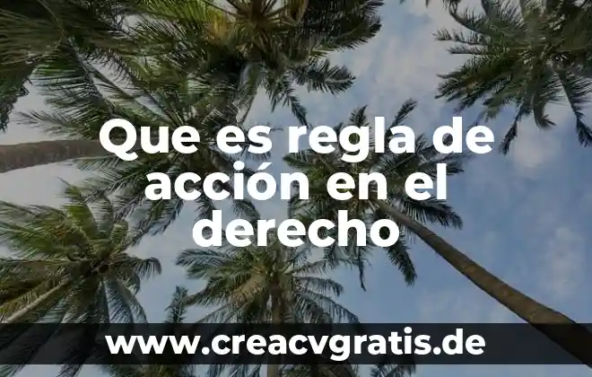Qué es una acción asertiva 3 Que es regla de acción en el derecho