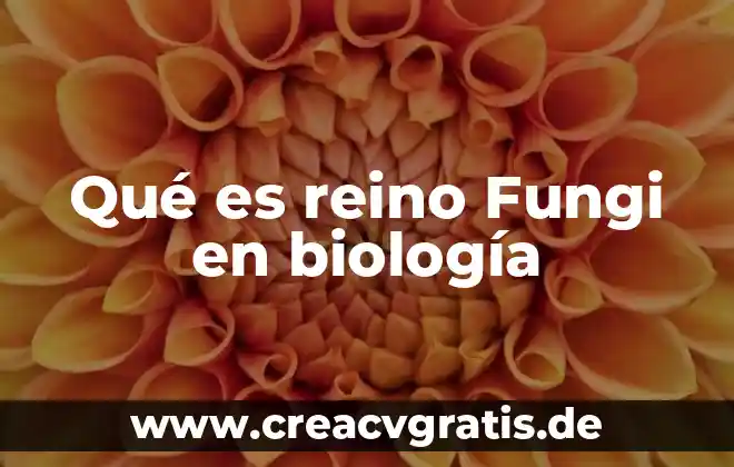 Que es el condado en el reino animal 4 Qué es reino Fungi en biología