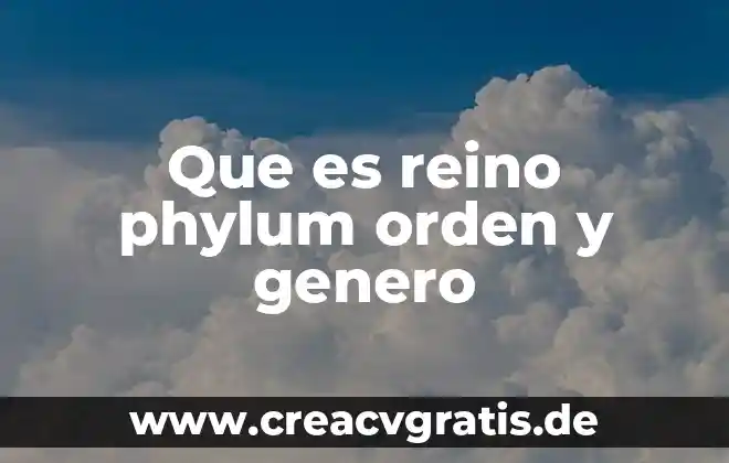 Que es el condado en el reino animal 3 Que es reino phylum orden y genero