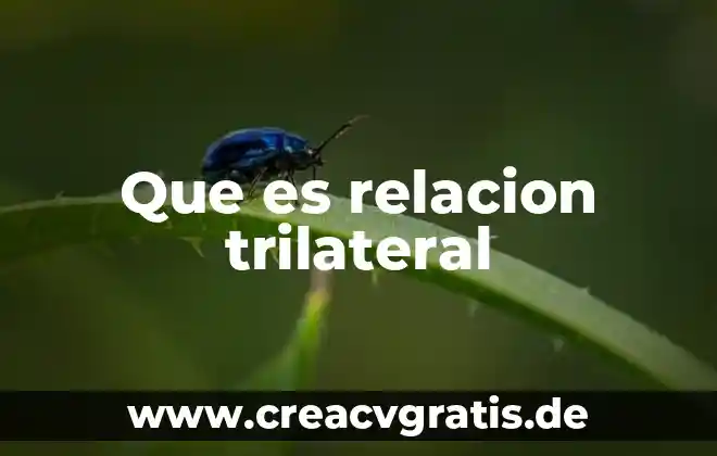 Que es relacion comsebto 8 Que es relacion trilateral