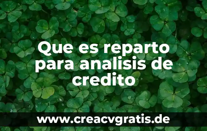 Que es valoracion y analisis financiero 4 Que es reparto para analisis de credito