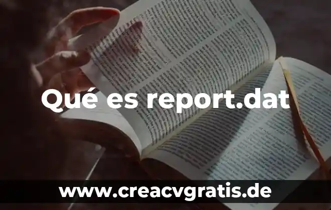 Que es el nombre impreso de la tarjeta 5 Qué es report.dat