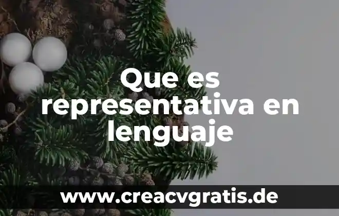 Que es el riesgo en el mercado de dinero 7 Que es representativa en lenguaje