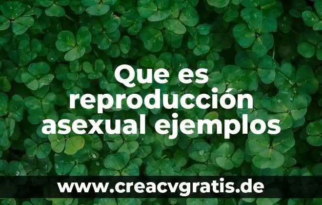 Asexual que es 4 Que es reproducción asexual ejemplos