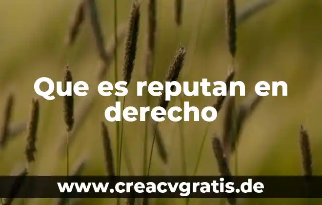 Que es el hombre en derecho 6 Que es reputan en derecho