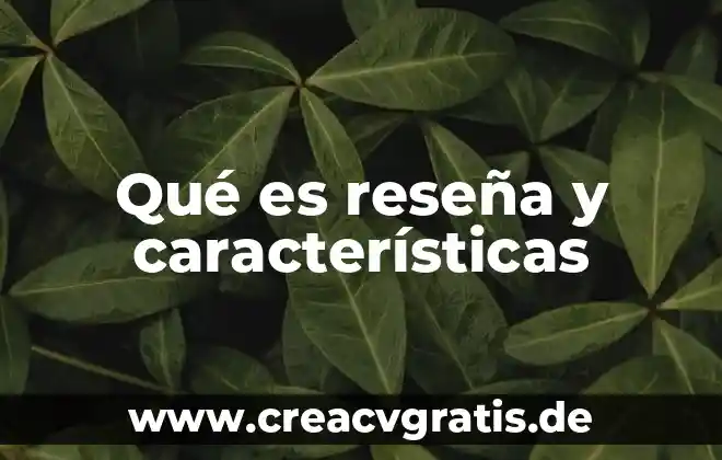 Qué es una reseña de un cuento 8 Qué es reseña y características