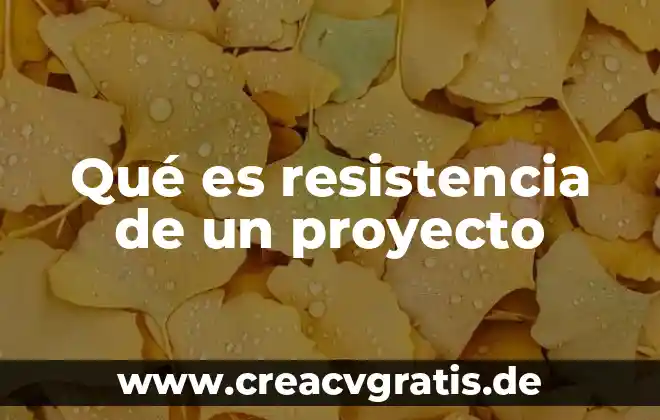 Que es tipos de resistencia electrica 8 Qué es resistencia de un proyecto