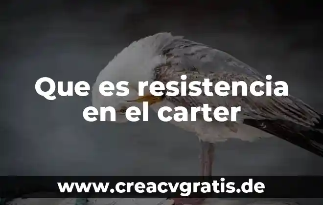 Que es planta.sobre repetidora 6 Que es resistencia en el carter
