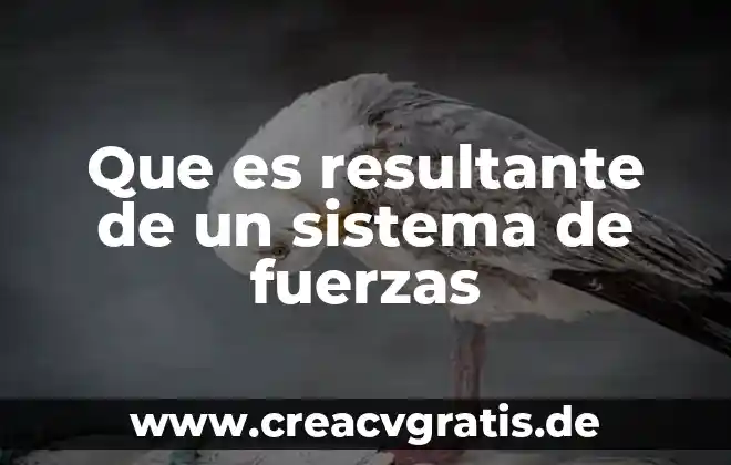 Que es un sistema adquirido en el lenguaje 6 Que es resultante de un sistema de fuerzas