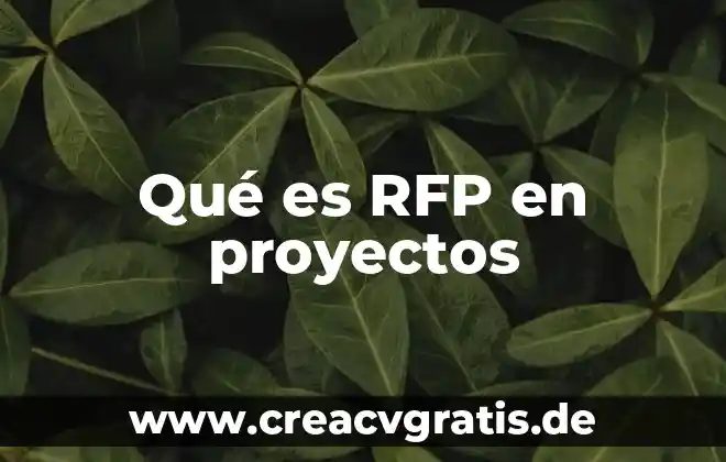 Que es la addministracioiin de proyectos 3 Qué es RFP en proyectos