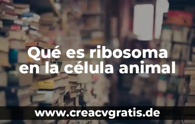 Que es igiene animal 5 Qué es ribosoma en la célula animal