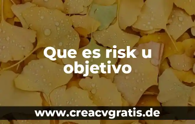 Que es un objetivo educacionales 8 Que es risk u objetivo