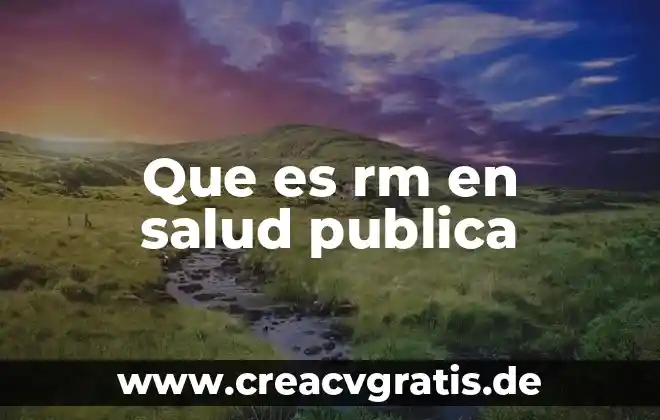 Que es salud tipos 4 Que es rm en salud publica