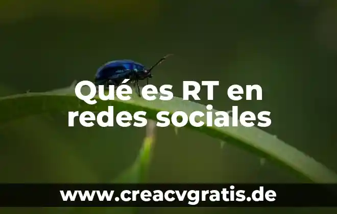 Que es grupo en ciencias sociales 8 Qué es RT en redes sociales