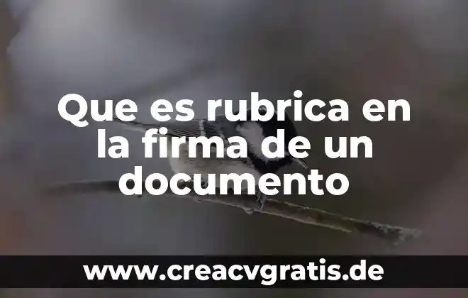 Rubrica integral que es 8 Que es rubrica en la firma de un documento